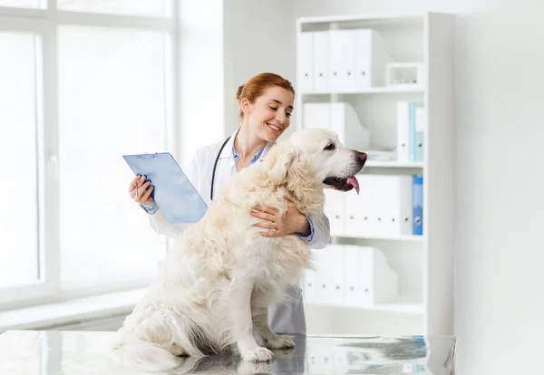 Dog at Veterinarian
