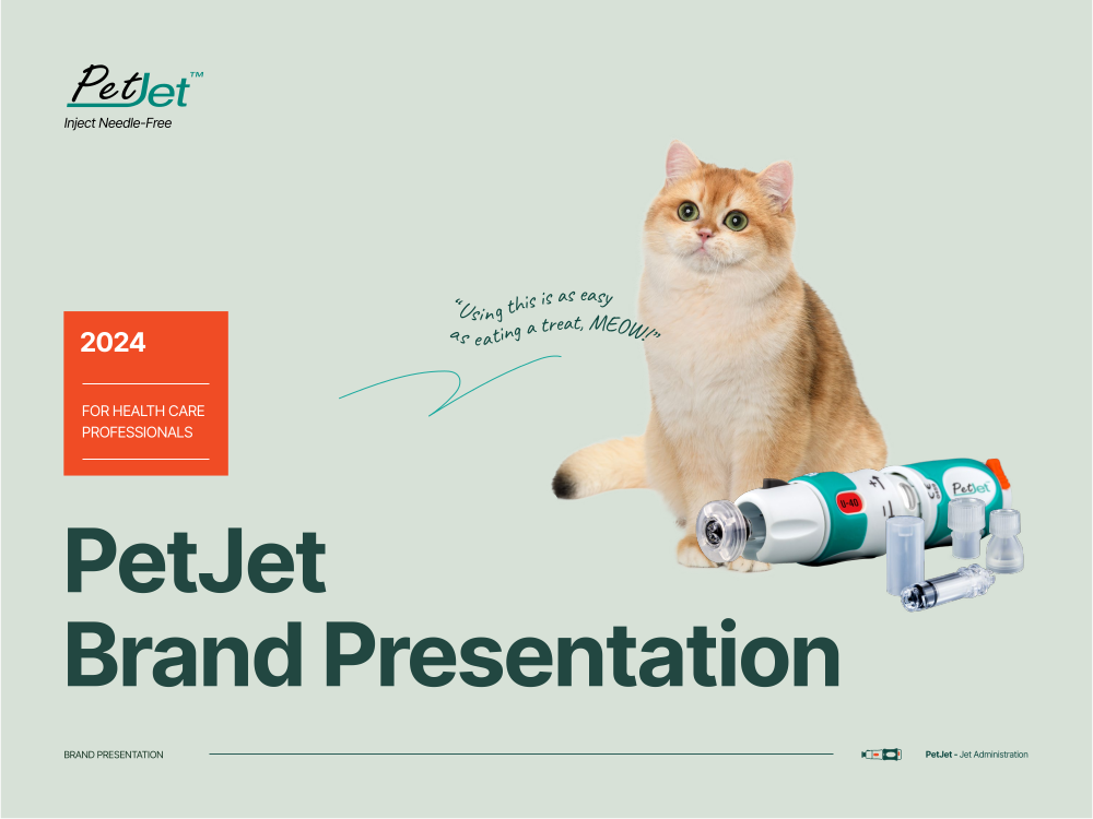 Health Care Professional Brand Presentation