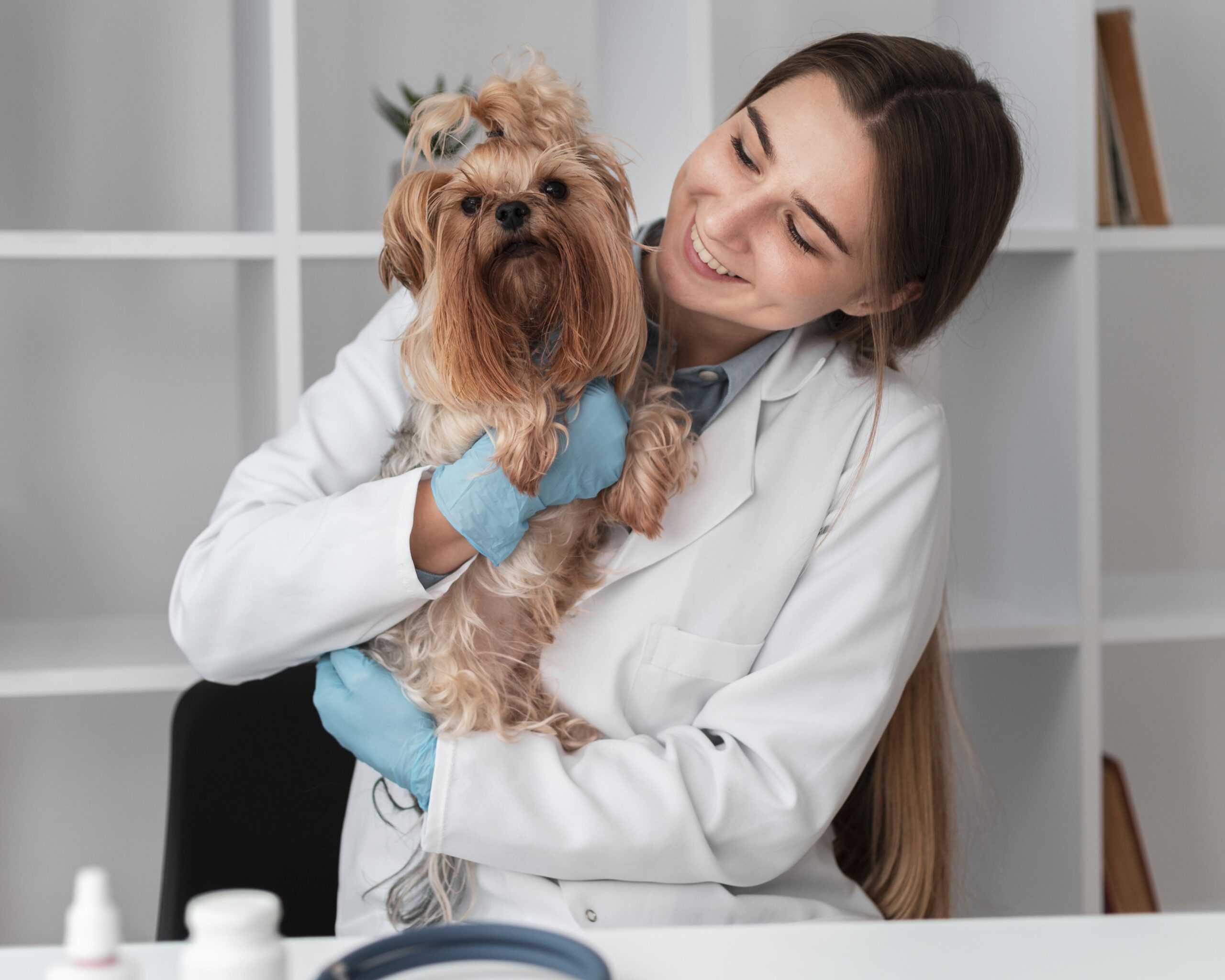 Vet with Dog